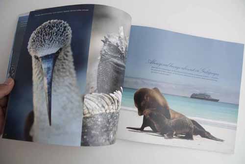 Full-Color-Brochures-15