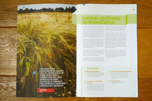 Full-Color-Brochures-22