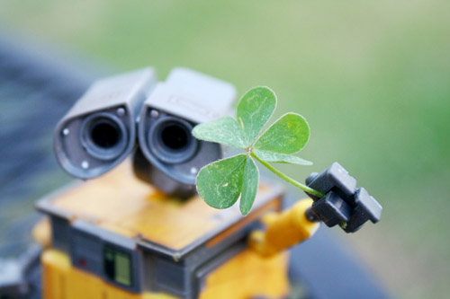 St-Patricks-Day-Photos-1