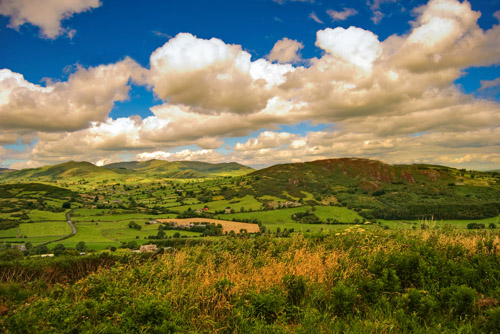 St-Patricks-Day-Photos-10