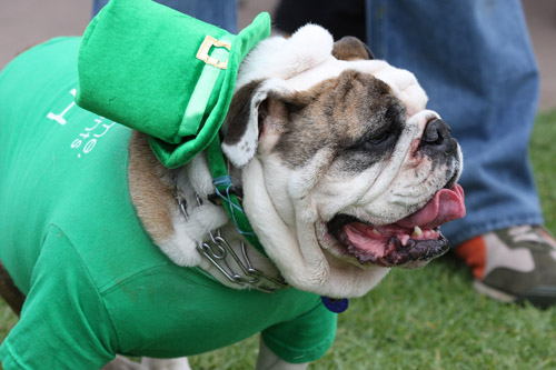 St-Patricks-Day-Photos-24