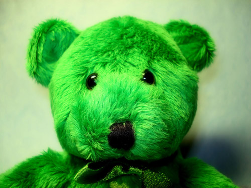 St-Patricks-Day-Photos-4