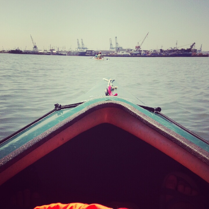 NextDayFlyers - Is Instagram A Good Photo Source?