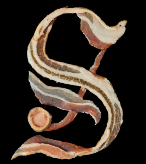 bacon_font_s letter s made from bacon