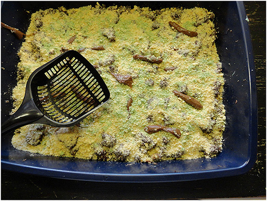 kitty_litter_cake