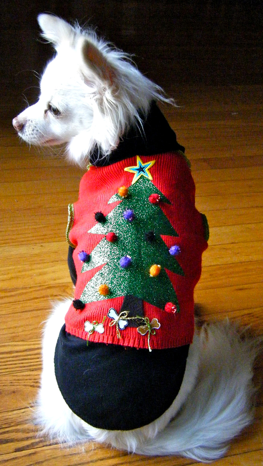 doggy holiday sweater