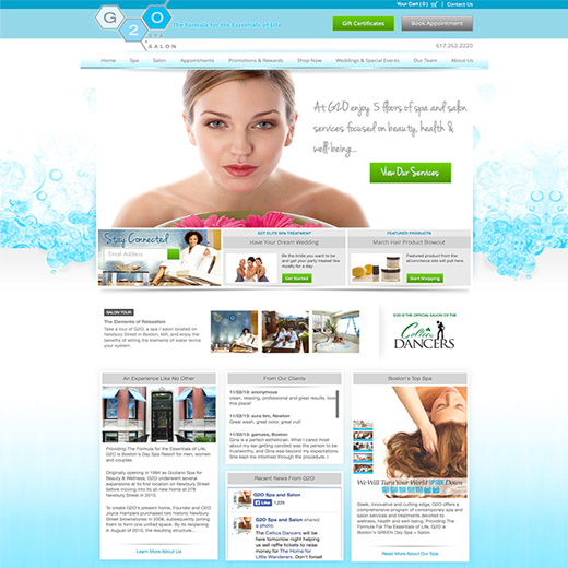 yelling mule web design