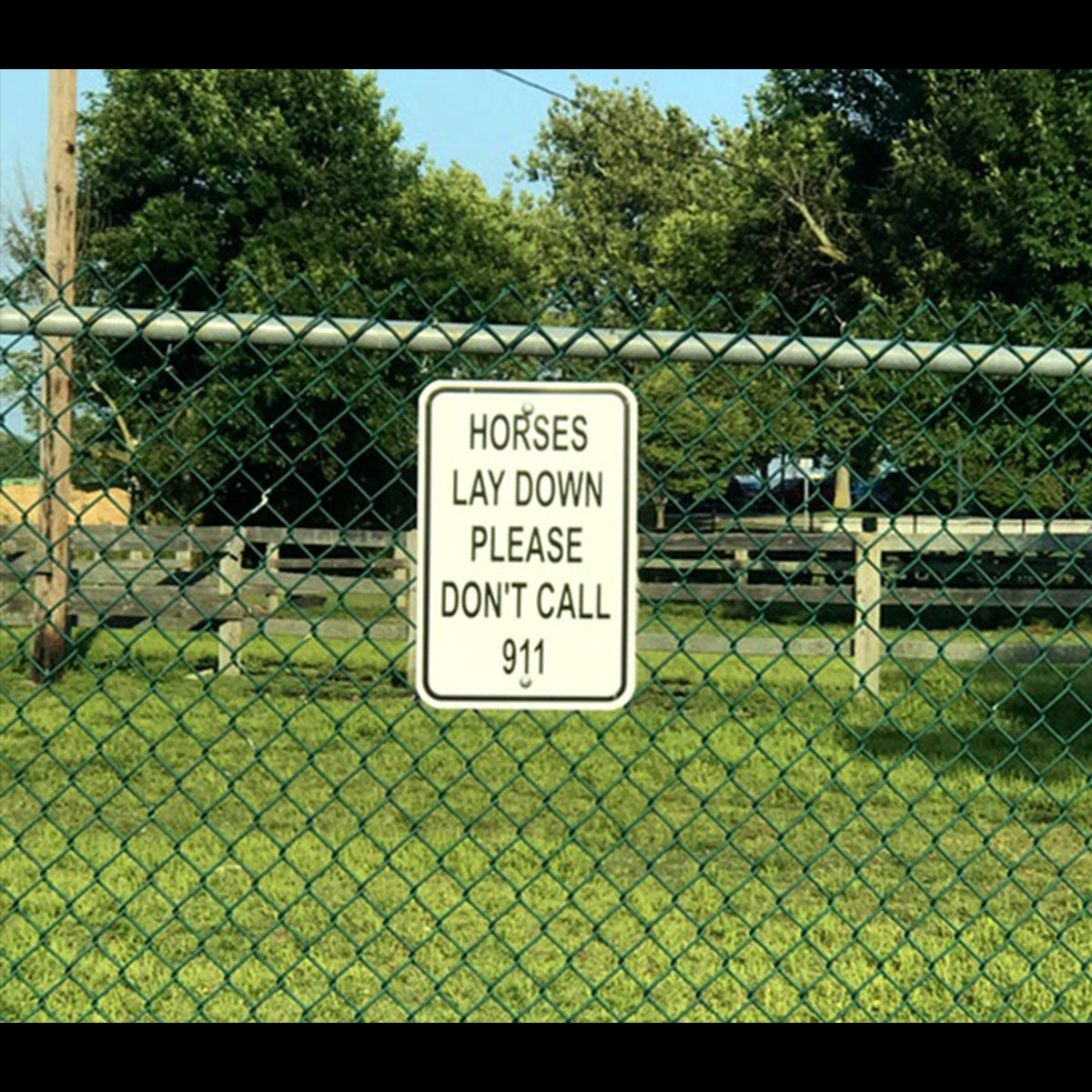 Funny Yard Sign 1