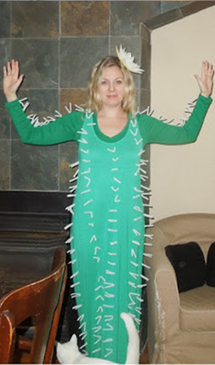 funny cactus halloween costumes