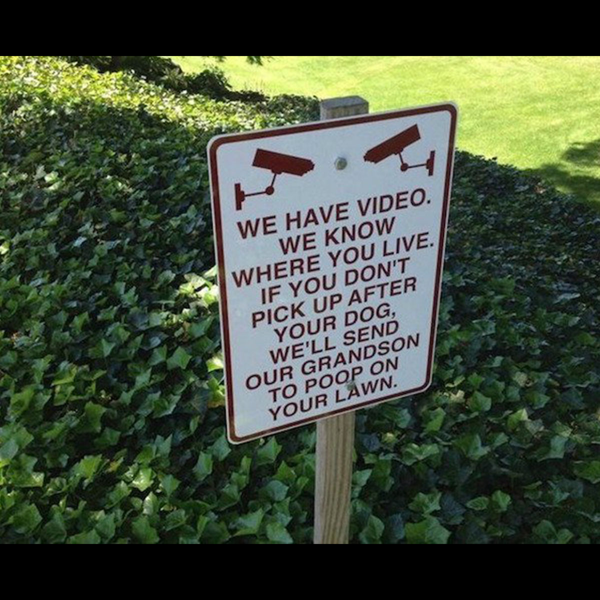 Funny Yard Sign 29