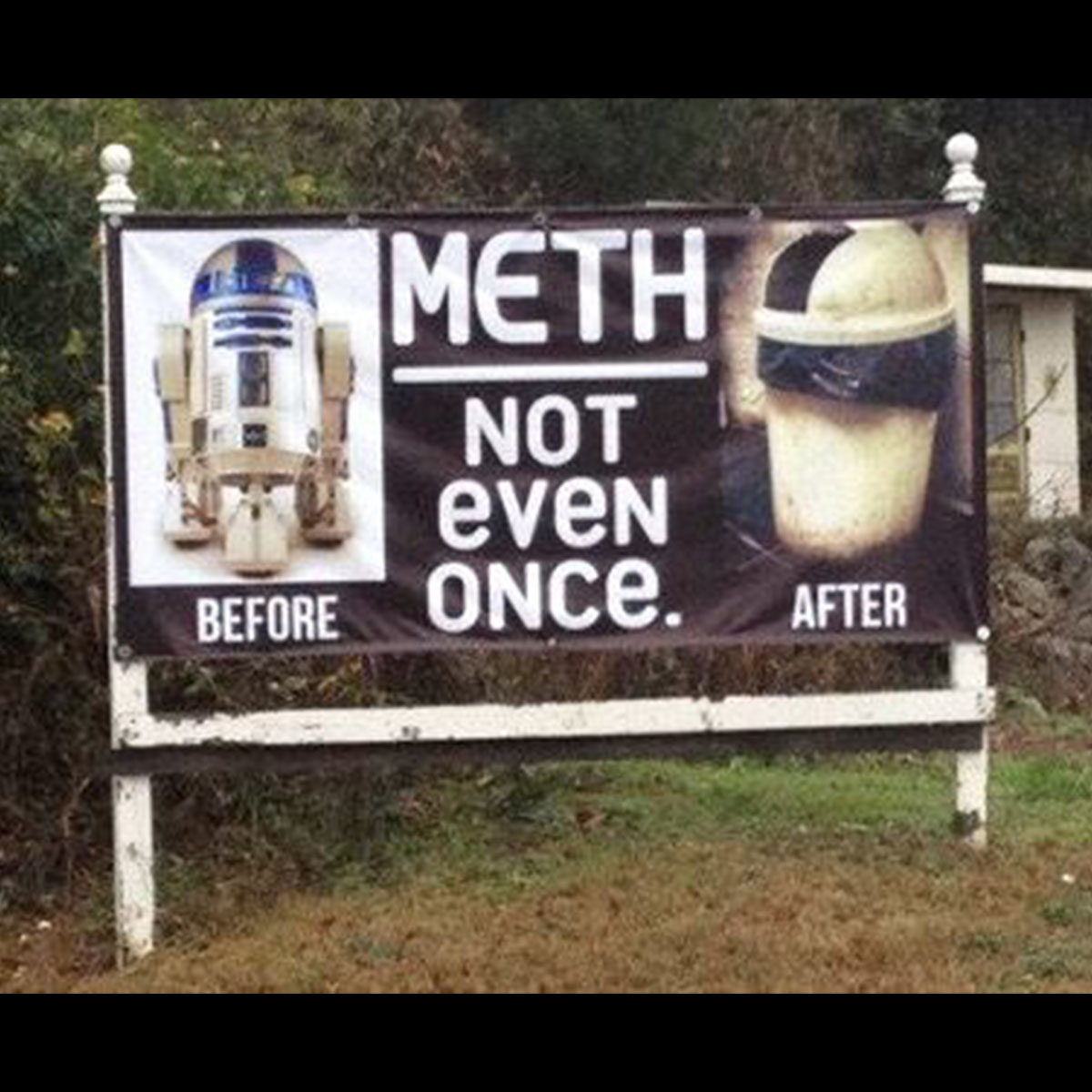 Funny Yard Sign 4