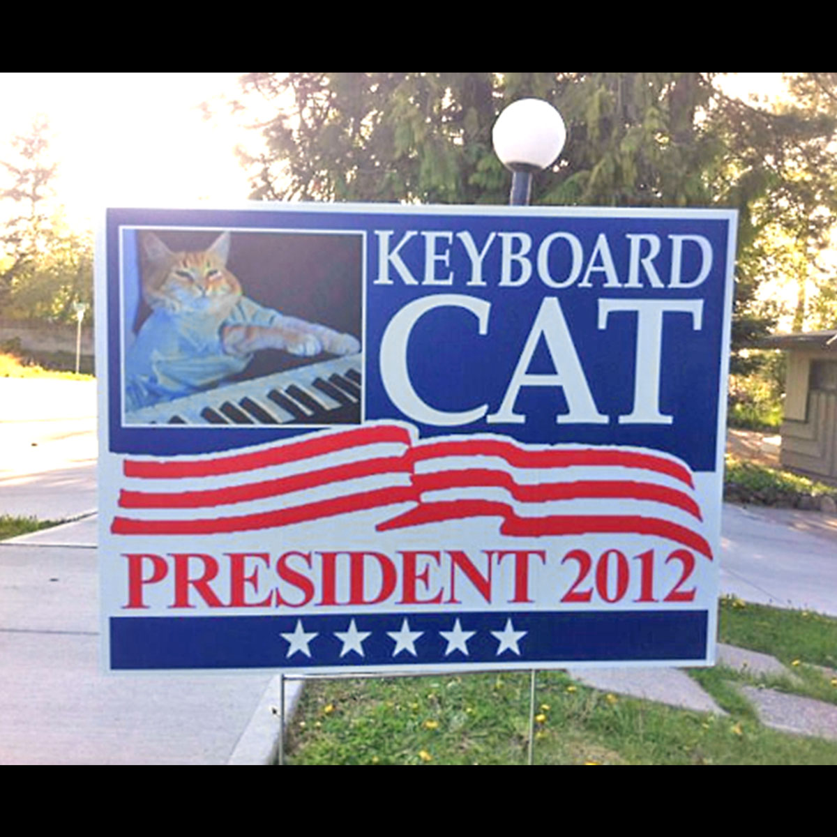 Funny Yard Sign 5
