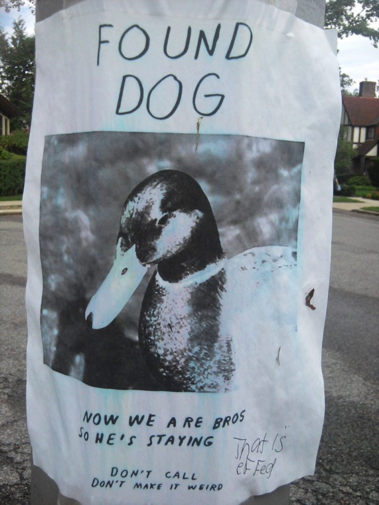 Hilarious Lost-Pet Flyers