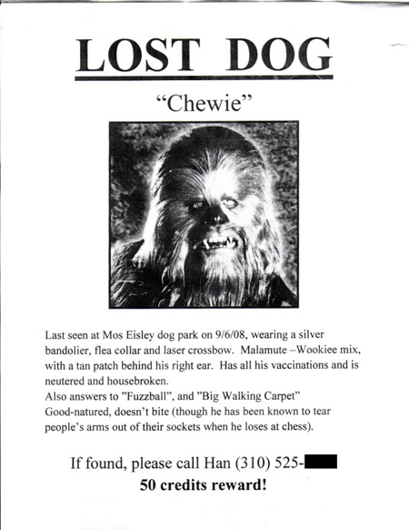 Lost Dog Flyer
