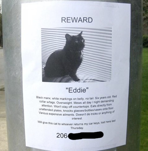 Funny "Missing" Flyers