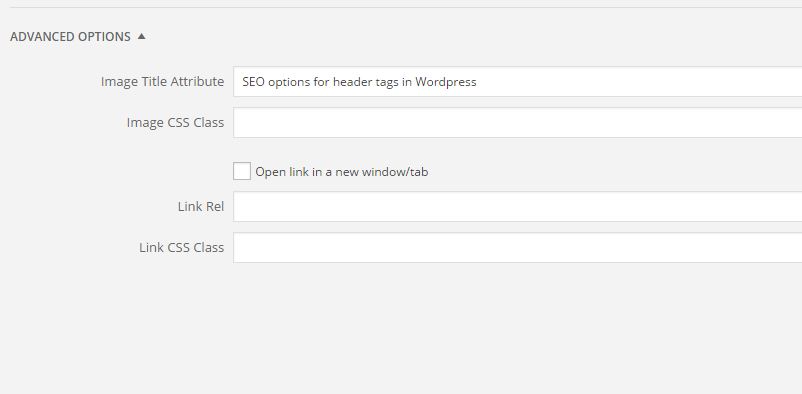 Adding image tag in WordPress seo3