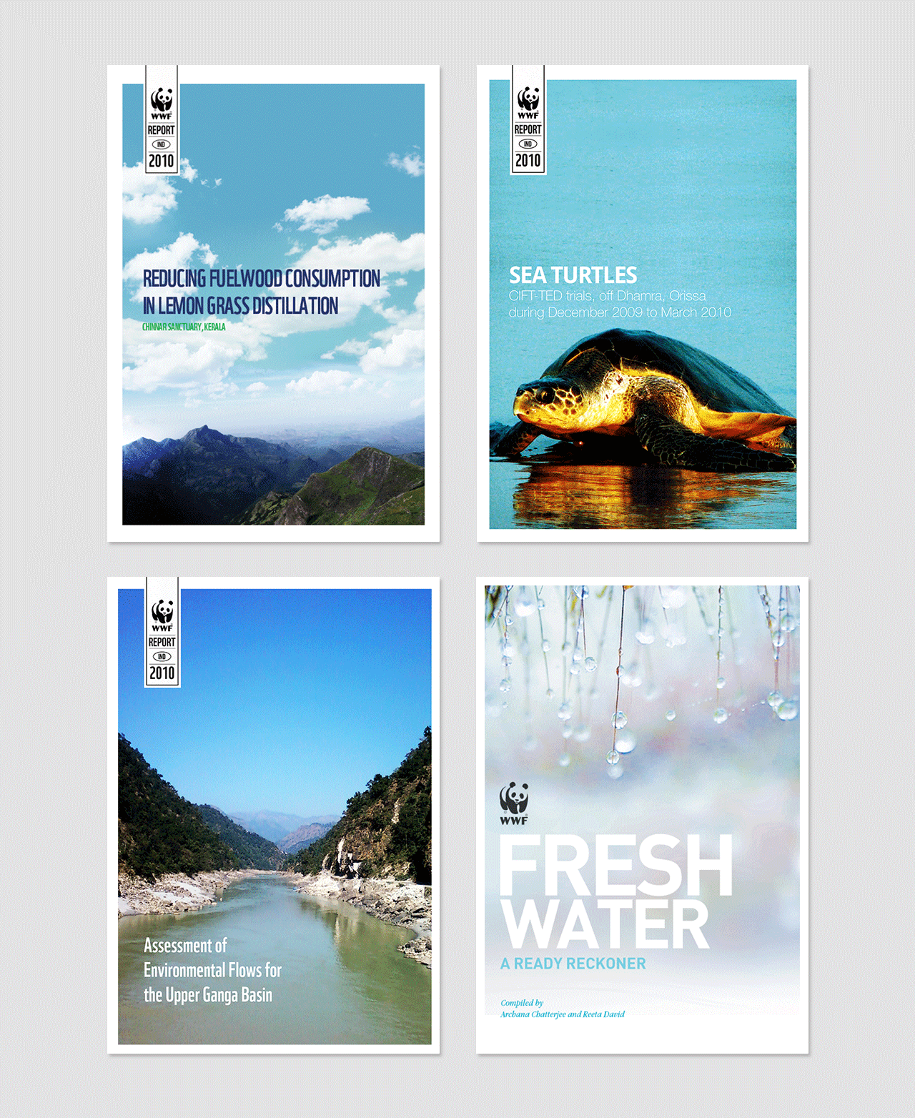 WWF environmental awareness flyer by Multia