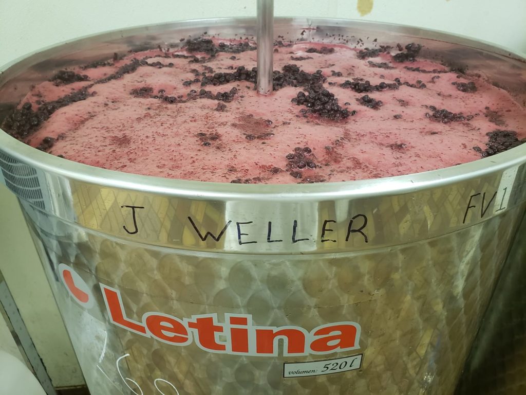 Maniacal Mead - Brewing in progress