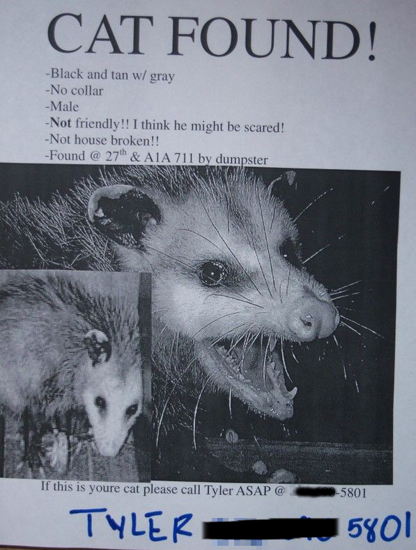 funny lost pet flyer